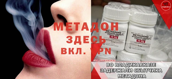 прущие грибы Михайловск