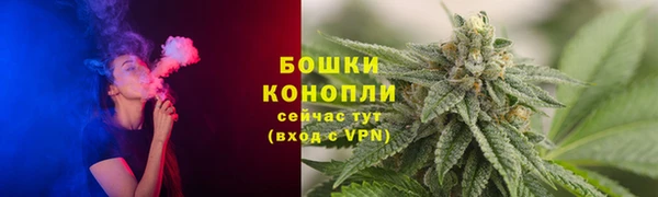 сатива Медногорск