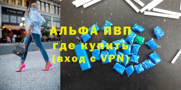 прущие грибы Михайловск