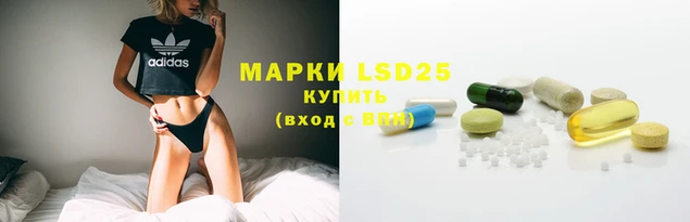 прущие грибы Михайловск