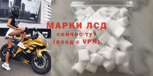 сатива Медногорск