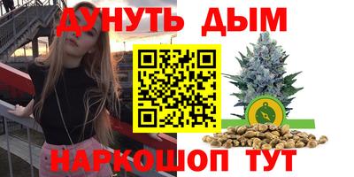 мдпв Гусев