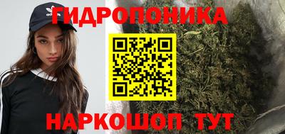 мдпв Гусев