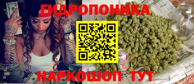 мдпв Гусев