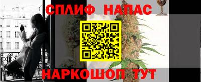 мдпв Гусев
