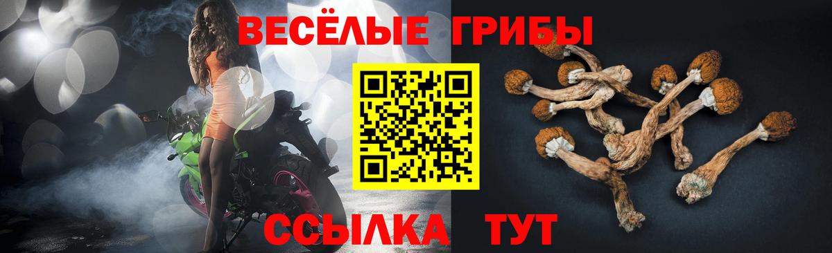 Галлюциногенные грибы Psilocybine cubensis Ковров